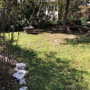 Leaf Removal by LOUS LAWN CUTS reviewed on October 1, 2025