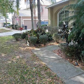 Bush Trimming by D.A.D.'s Lawn Services reviewed on August 18, 2025