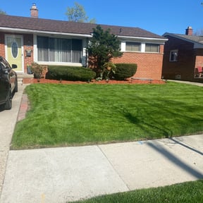 Bush Trimming by Flowers Transportation & Maintenance LLC reviewed on August 15, 2025