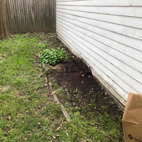 Leaf Removal by Flores Landscaping Services reviewed on August 21, 2025