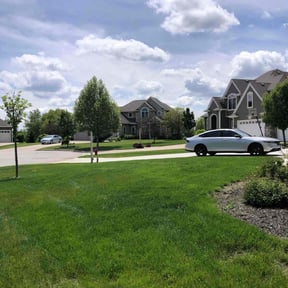 yard maintenance by EZ Landscape & Snow removal reviewed on August 21, 2025