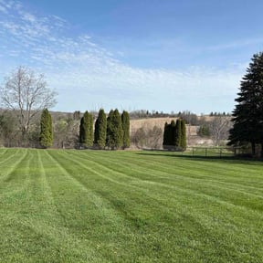 grass cutting by Drews Country Lawn Care reviewed on May 20, 2023