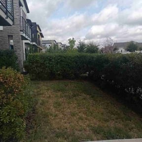 Bush Trimming by Scott Bensing Lawn Care reviewed on August 21, 2025