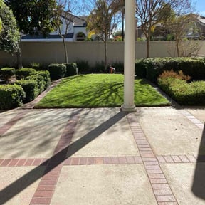 yard care by Legacy reviewed on August 19, 2025