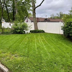 lawn care services by RTS Lawn care service reviewed on October 3, 2024