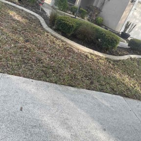 Leaf Removal by Lawn and Labor Services reviewed on April 4, 2026