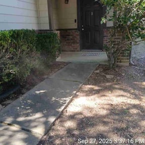 Leaf Removal by JC Landscaping reviewed on September 6, 2025