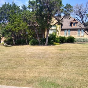 Bush Trimming by Not Too Shabby Lawncare Services reviewed on August 16, 2025