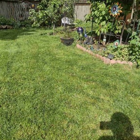 turf care by DPR Land and Hardscape Design reviewed on November 6, 2023