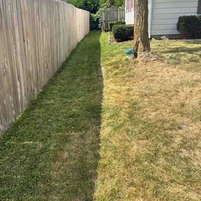 Flower Bed Weeding by Ultimate Landscape Contractor reviewed on August 28, 2026