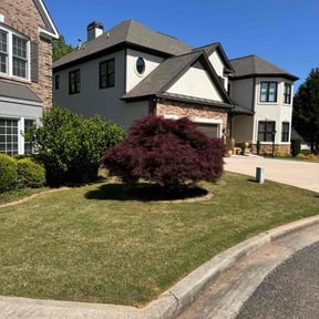 yard work by ChinaCat Landscaping reviewed on August 19, 2025