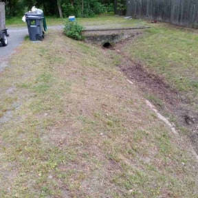 Leaf Removal by Grizzly Landscaping reviewed on August 18, 2025