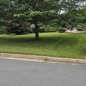 landscaping services by Kuill Electric Lawn Care, L.L.C. reviewed on August 21, 2025