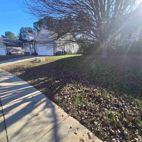 Leaf Removal by Gs lawn care reviewed on March 21, 2026