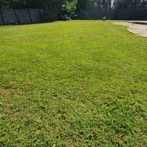 lawn service by Swiftcutz reviewed on August 21, 2024