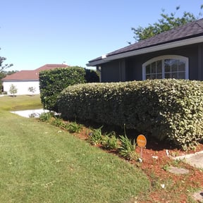 Bush Trimming by Contreras Outdoors reviewed on August 21, 2025