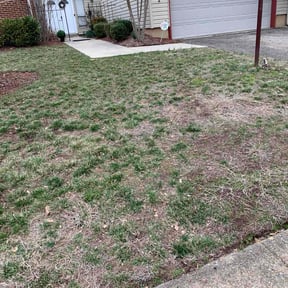 Leaf Removal by TNA Home Services reviewed on August 17, 2025