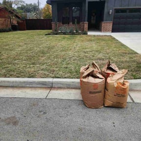 Leaf Removal by JMLandscaping reviewed on December 18, 2025
