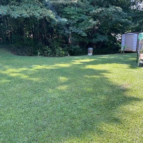 landscaping by Clean care evs reviewed on November 23, 2025