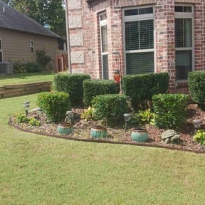 Bush Trimming by Cutting up Lawn and Tree Care reviewed on August 19, 2025