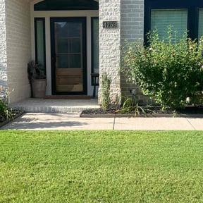 landscaping services by JoJo property services LLC  reviewed on August 15, 2025