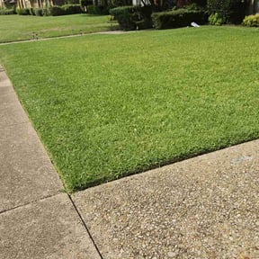 lawn care services by Pristine Professionals reviewed on August 19, 2025