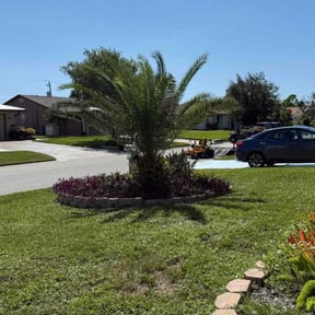 Bush Trimming by JUST_RIGHT_LAWN_CARE reviewed on November 20, 2025