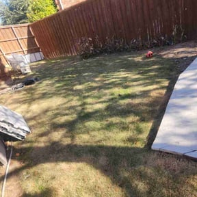 Leaf Removal by Yard shard LLC reviewed on December 24, 2025