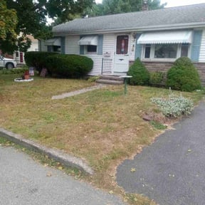 Bush Trimming by 66landscaping.com reviewed on August 17, 2025