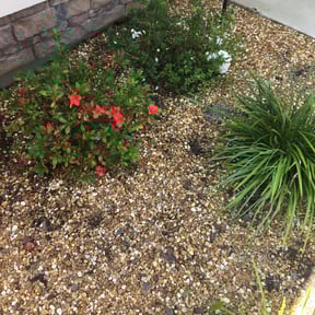 Flower Bed Weeding by Friendly Lawn Services reviewed on August 15, 2025