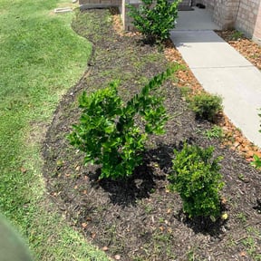 Flower Bed Weeding by AlwaysTheBest LawnCare reviewed on August 18, 2025