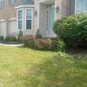Bush Trimming by Environment Plus,Inc reviewed on August 17, 2025
