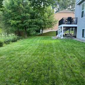 yard service by José Peraza All House Service reviewed on August 15, 2025