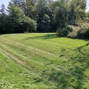 yard work by JT Lawns reviewed on August 15, 2025