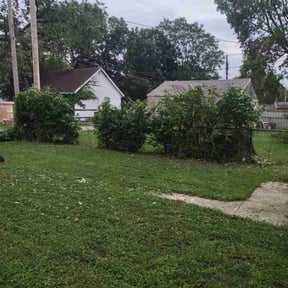Bush Trimming by Earthly Services reviewed on August 20, 2025
