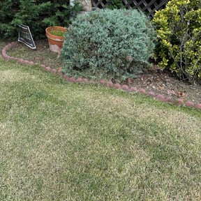 Bush Trimming by Simple Solution Home Services reviewed on August 19, 2025