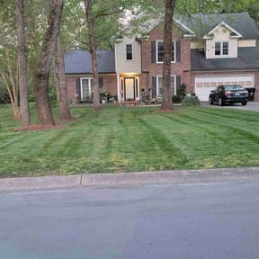 yard care by Rva Essentials reviewed on August 21, 2025