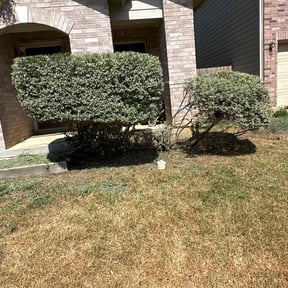 Bush Trimming by J & L Lawncare Services LLC reviewed on August 18, 2025