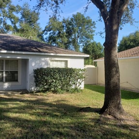Bush Trimming by Prince Lawn Maintenance reviewed on August 15, 2025
