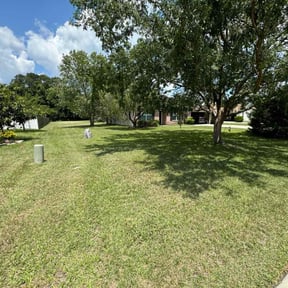 yard service by AMERICA'S BEST LAWN SERVICE LLC reviewed on January 22, 2026