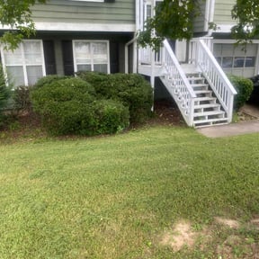 Bush Trimming by Et Lawn Care reviewed on August 21, 2025