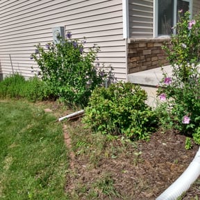 Bush Trimming by Torres Lawn Care reviewed on August 18, 2025