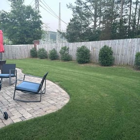 yard service by Greg's gardens reviewed on August 18, 2025