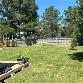 lawn service by Mitchell's Home Solutions reviewed on May 10, 2023