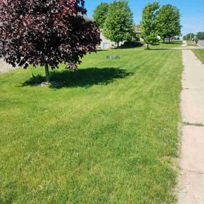 landscaping by Lawn Pro grounds management reviewed on August 16, 2025