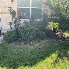 Bush Trimming by Lawngenie reviewed on August 20, 2025
