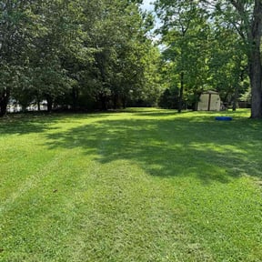 landscaping by Murray's Irish eyes lawn service reviewed on August 20, 2025