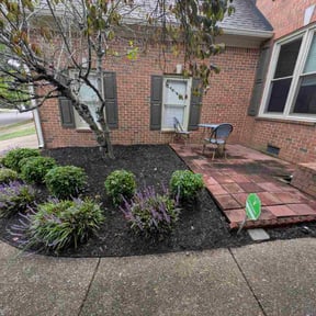 Bush Trimming by Green lawn care reviewed on October 24, 2025