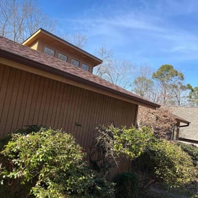 Bush Trimming by Richard Buricca reviewed on January 29, 2026