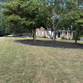 Flower Bed Weeding by Lindsay’s lawncare reviewed on July 29, 2026